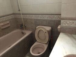 The Sunny Spring (D14), Apartment #458869171
